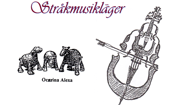 stråkmusik läger